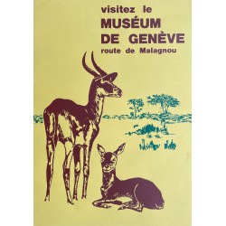 Visitez le Muséum de Genève. Vers 1978.