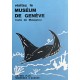 Visitez le Muséum de Genève. Vers 1980.