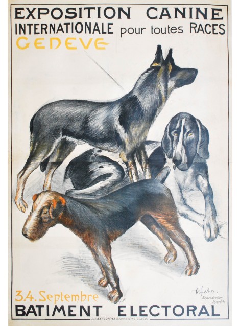 Henri Fehr. Exposition internationale canine Genève. 1921.