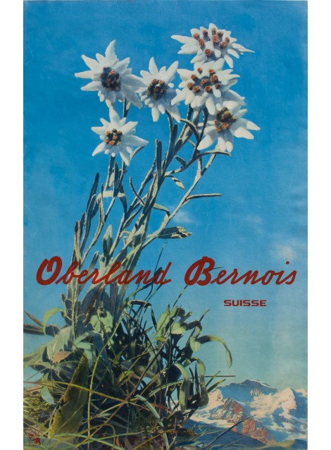 OBERLAND BERNOIS, ALBERT STEINER, AMSTUTZ & HERDEG, 1940